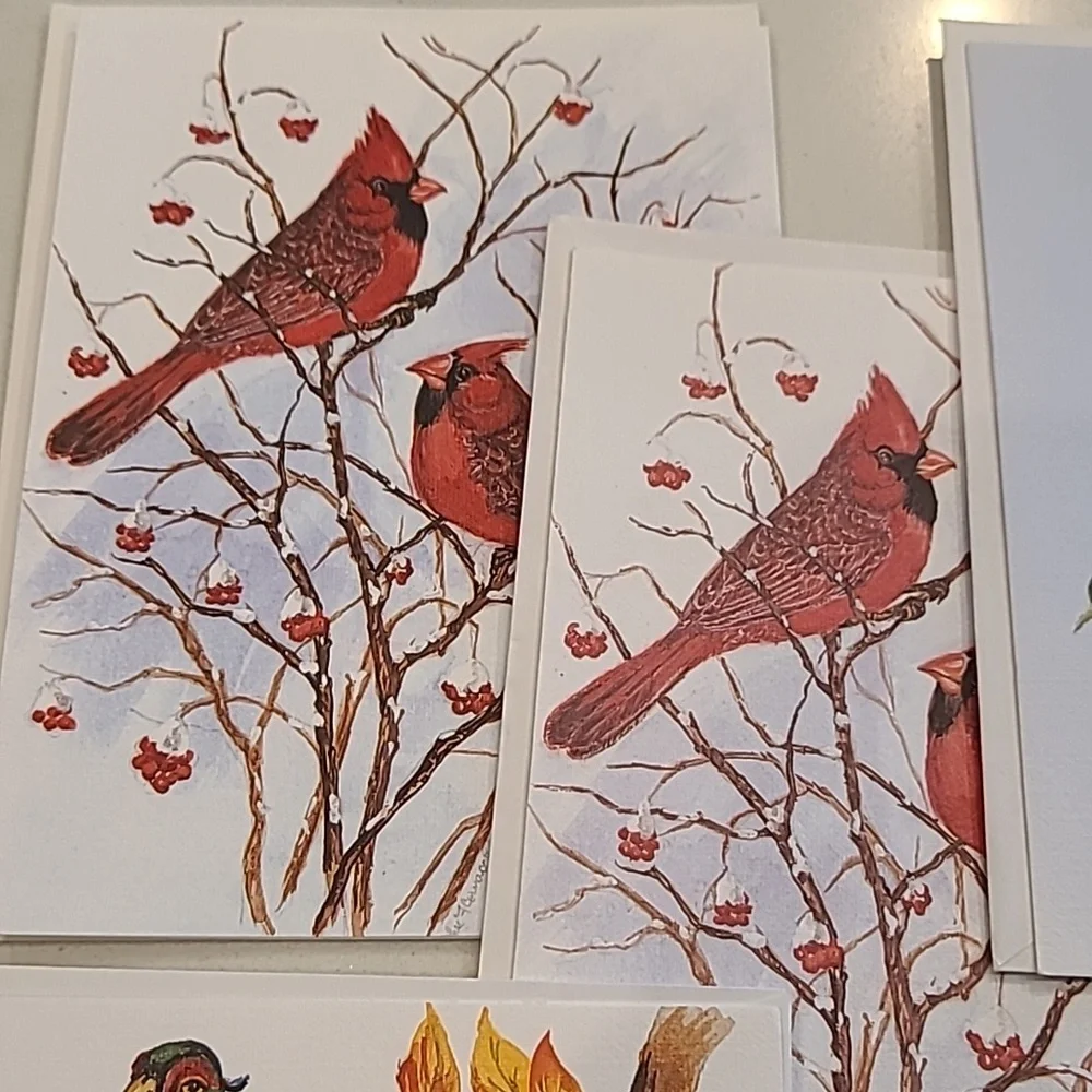 bird nature greeting cards new original